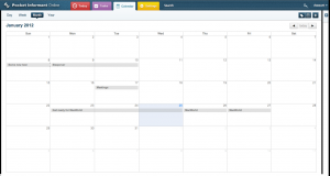 Pocket Informant Online - Month View