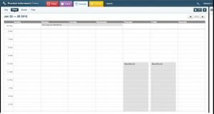 Pocket Informant Online - Week View