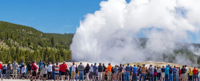 Just Call Us Old Faithful