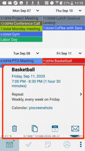 Pocket Informant - Event Detail