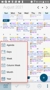 Pocket Informant - Calendar View Menu