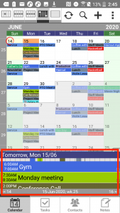 Pocket Informant - Day Detail