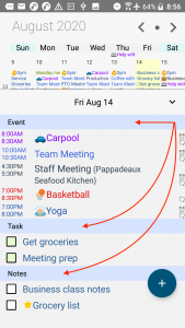 Pocket Informant - Day Detail
