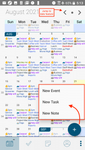 Jump to Date Feature