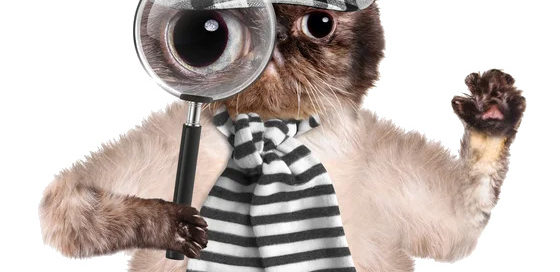 Cat-Detective