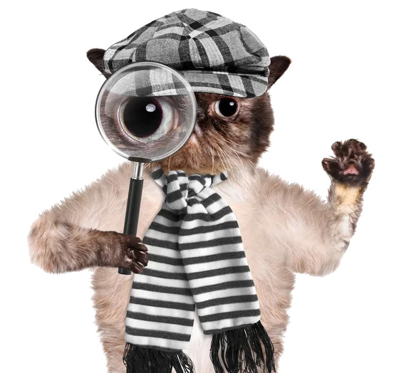 Cat-Detective
