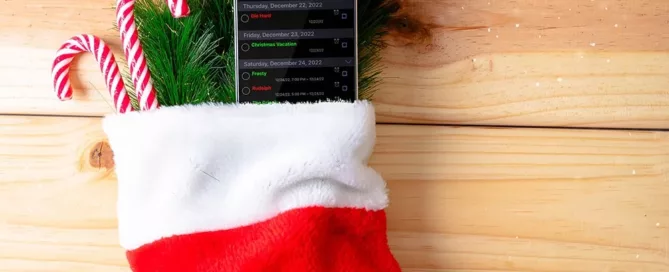 Christmas Stocking Informant