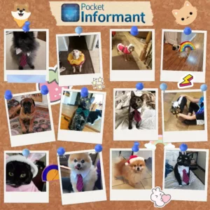 Pets-in-Costume-bulletin-board