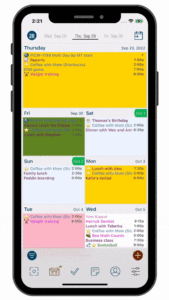 Pocket Informant Search